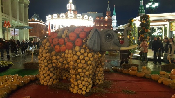 pumpkin elephant