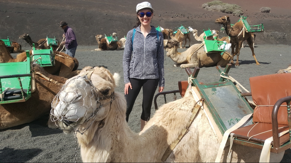 Lanzarote South Tour camel ride